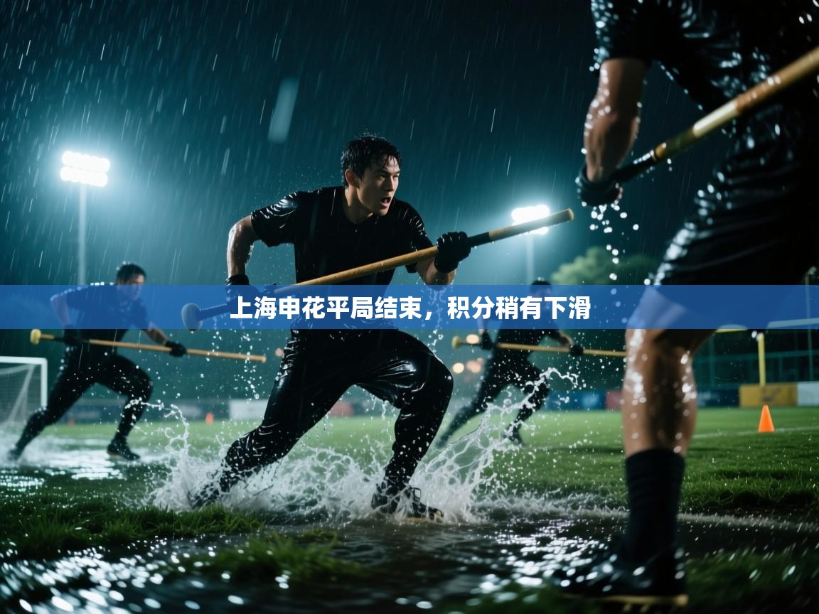 上海申花平局结束，积分稍有下滑  第2张