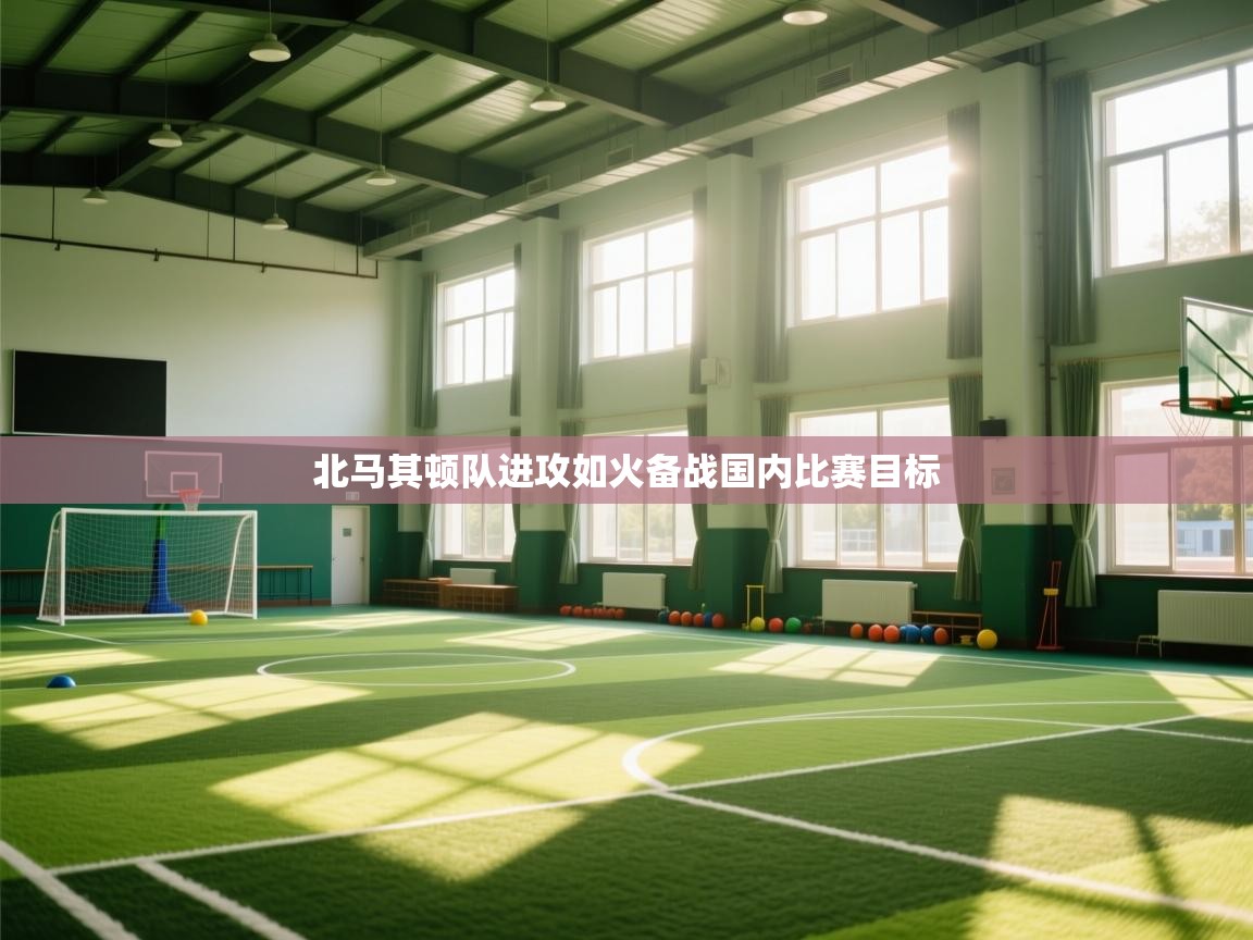 北马其顿队进攻如火备战国内比赛目标  第1张