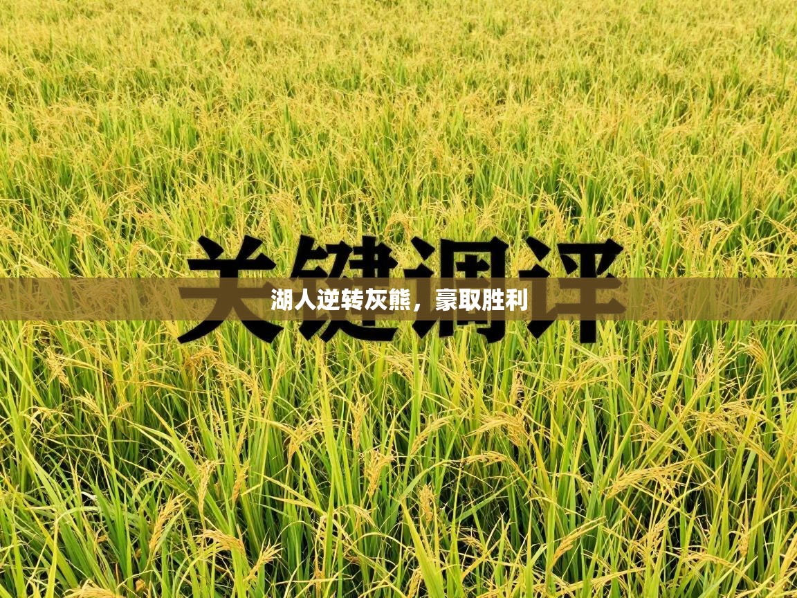 湖人逆转灰熊，豪取胜利  第2张